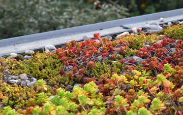 the cost of Stronchreggan green roof installation
