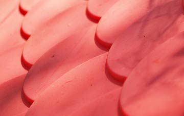 Stronchreggan plastic roof costs